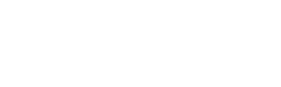HireNet logo white